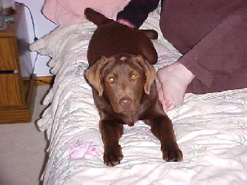 Mvc-024f.jpg - 26101 Bytes