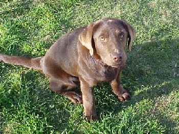 Mvc-036f.jpg - 132292 Bytes