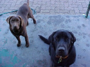 Mvc-065f.jpg - 57427 Bytes