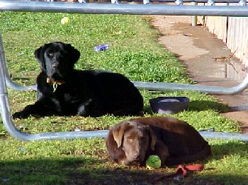 Mvc-067f.jpg - 97817 Bytes