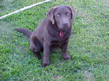 Mvc-091f.jpg - 83471 Bytes