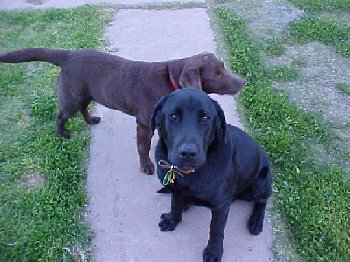 Mvc-093f.jpg - 80544 Bytes