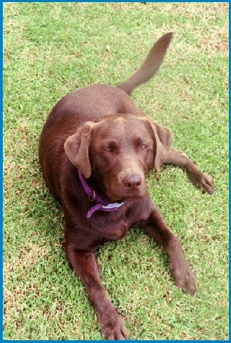 Rosiefeb2003.jpg - 72214 Bytes