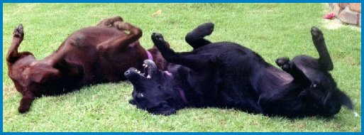 rosie&zarah4.jpg - 32312 Bytes