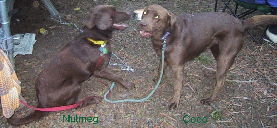 march2002.jpg - 44254 Bytes