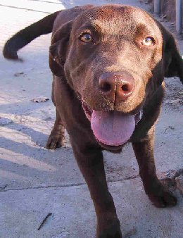 Norbet-5m.jpg - 27837 Bytes